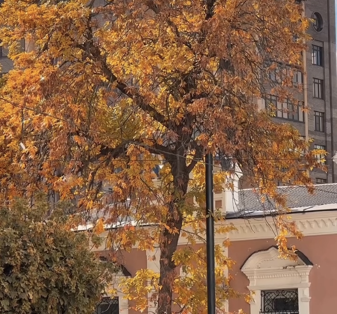 Республика в цифрах. Октябрь